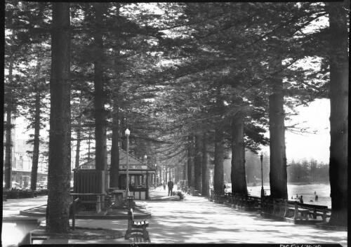 South Steyne beach Promenade [tree-lined promenede, including kiosk 'Manly .. Wishing Pool'] [picture] : [Manly, New South Wales] / [Frank Hurley]