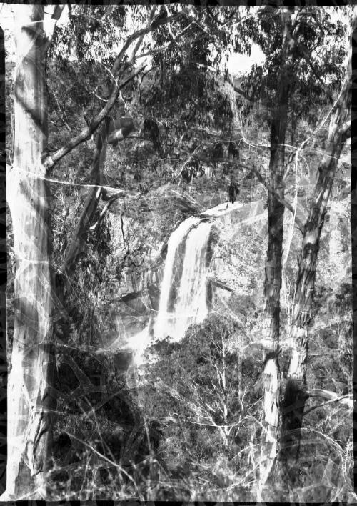 [View through trees of Ebor Falls, Armidale, New South Wales] [picture] / [Frank Hurley]