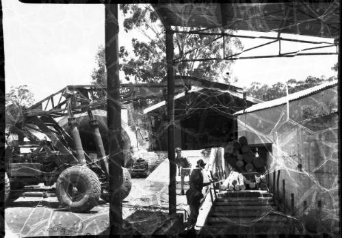 [Crane lifting logs, Pelton Mine, New South Wales] [picture] / [Frank Hurley]