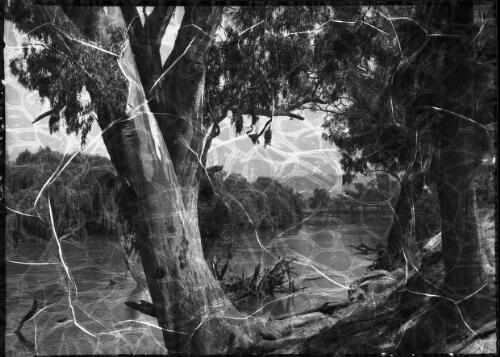 The Murrumbidgee River at Gundagai [view through trees to river] [picture] : [South New South Wales] / [Frank Hurley]