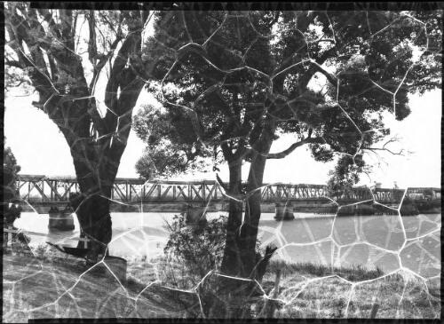 Clarence River at Grafton [New South Wales] [picture] / [Frank Hurley]