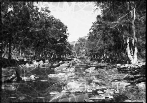 Mann River, between Glenn Innes & Grafton [view from mid-stream] [picture] : [New England, New South Wales] / [Frank Hurley]