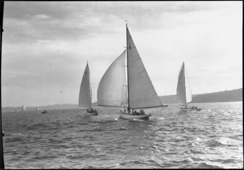Yachts on Harbour [6] [picture] : [Sydney Harbour, New South Wales] / [Frank Hurley]