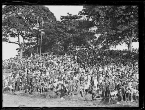 Crowd of people watching the opening of Sydney Harbour Bridge from the Domain Park [?], 19 March 1932 [picture]