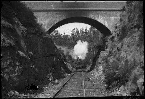 [Hawkesbury train passing under bridge] [picture] : [New South Wales] / [Frank Hurley]