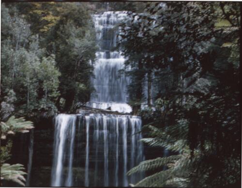 [Russell Falls, Mount Field National Park, front view] [picture] : [Tasmania] / [Frank Hurley]