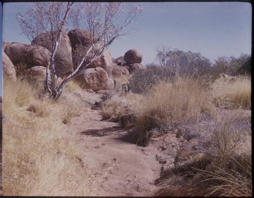 [Dirt path leading to Devils Marbles, Northern Territory] [transparency] / [Frank Hurley]