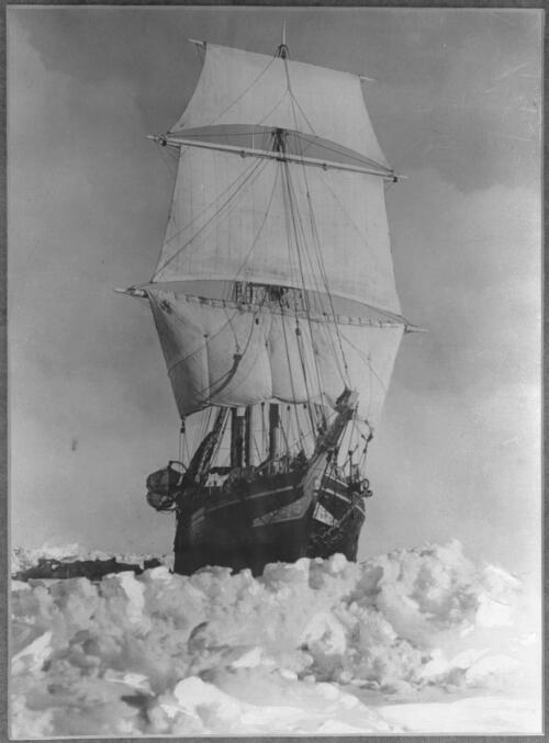 The Endurance, in the full pride of her youth, breasting the Antarctic ice-packs at the outset of the expedition [prow pointing left, Shackleton expedition, 1914-1916] [picture] : [Antarctica] / [Frank Hurley]