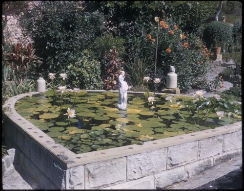 [Pond with a statute and lilies, King's Park?, Perth, Western Australia, 1] [transparency] / [Frank Hurley]