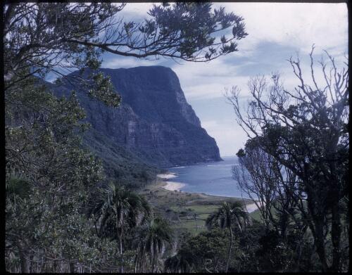 [Mount Gower, Lord Howe Island, 17] [transparency] / [Frank Hurley]