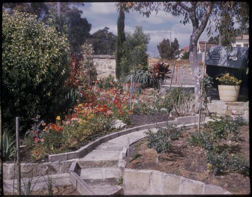 [Garden with flowers and stone paths, Bright, Victoria?] [transparency] / [Frank Hurley]