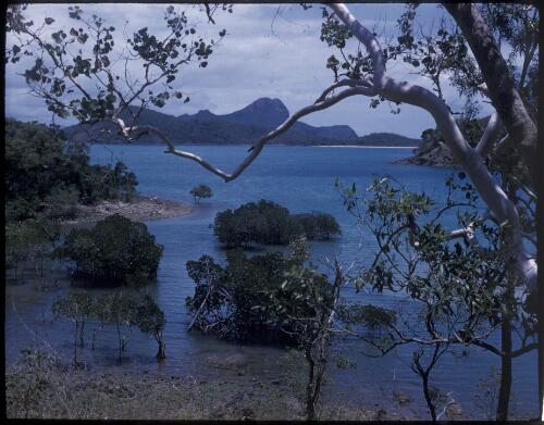[View of Pentecost Island, Whitsundays, Queensland from Lindeman Island ] [transparency] / [Frank Hurley]