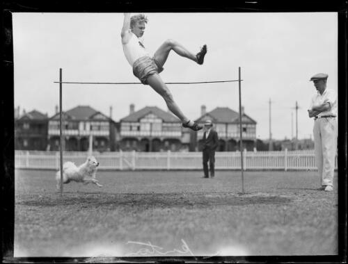 German athlete Gerhardt Emton high jumping next to a small dog, New South Wales, 18 January 1930, 2 [picture]