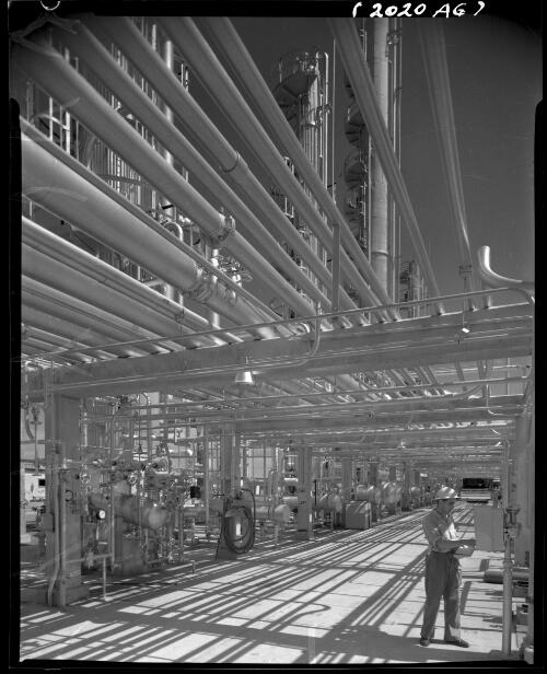 Pipelines at the Mobil [Stanvac] Altona Refinery, 1956 [1] [picture] / Wolfgang Sievers