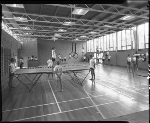 Students participating in activities at Peninsula School gym, Mt. Eliza, Victoria 1964, architects Bates, Smart and McCutcheon [picture] / Wolfgang Sievers