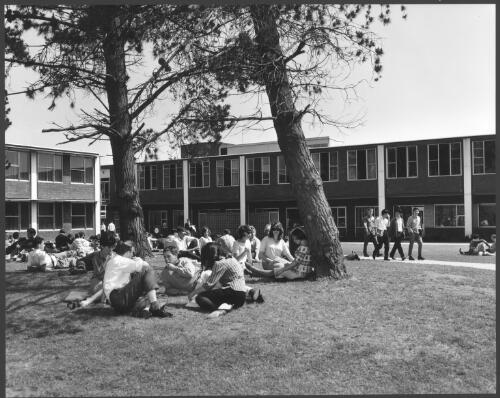 View of the Central Science Building from Hargrave Library with the Physics Building on left at Monash University, Melbourne, Victoria, 1962 [picture] / Wolfgang Sievers
