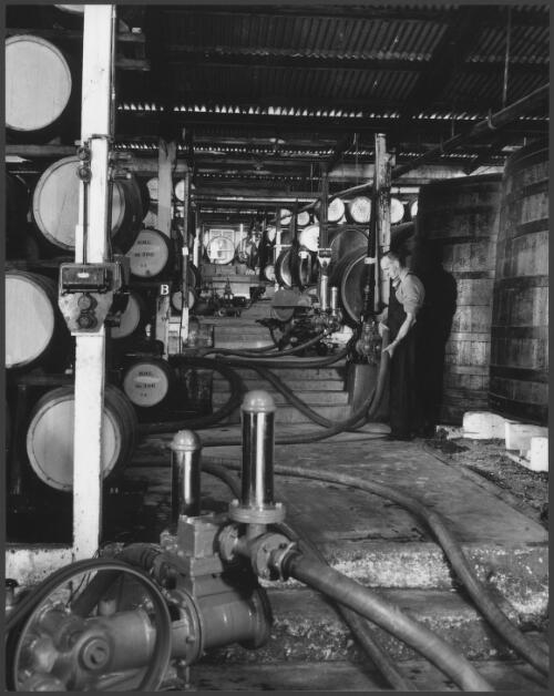 Penfold's wine manufacturing plant at Adelaide, South Australia, 1958 [picture] / Wolfgang Sievers