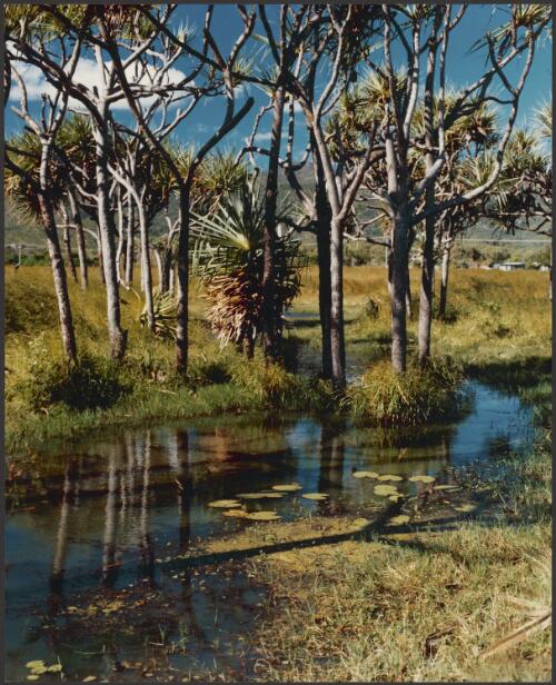 Rural view with creek, farm and mountains, inland North Queensland, 1979 [picture] / Wolfgang Sievers