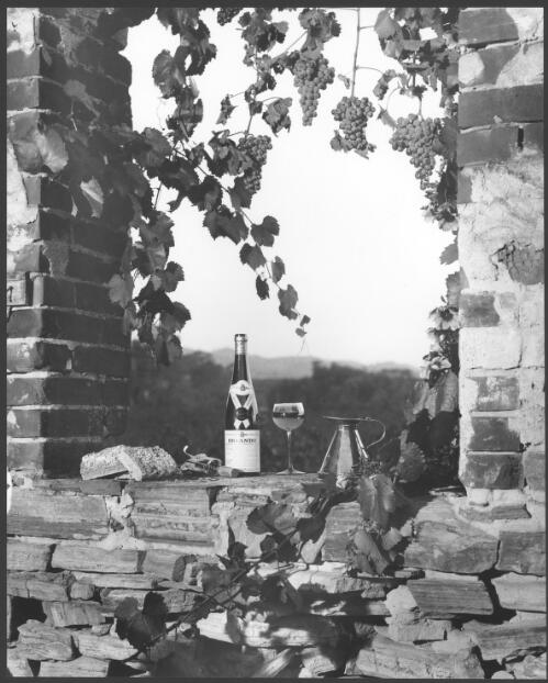 Orlando wine, Orlando vineyards, Rowland Flat, Barossa Valley, South Australia, 1966, 2 [picture] / Wolfgang Sievers