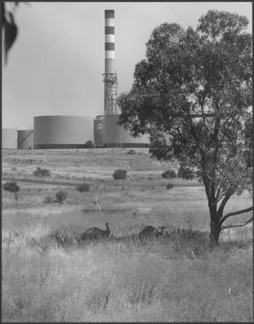 Mobil Oil Refinery, Port Stanvac, South Australia, [with emus in the foreground], 1975 [picture] / Wolfgang Sievers
