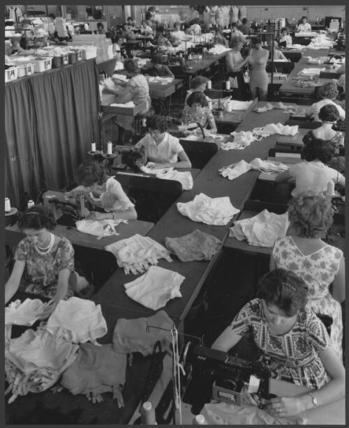 Women machinists sewing underwear at Lucas textiles factory, Ballarat, Victoria, 1963 [picture] / Wolfgang Sievers