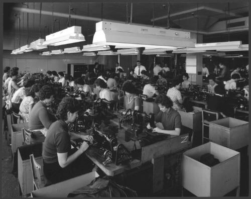 Employees sewing garments at the C. J. Wilson Clothing Factory, Johnston Street, Collingwood, Victoria, 1963, 2 [picture] / Wolfgang Sievers