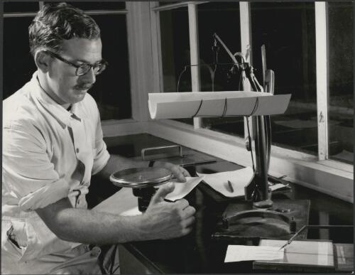 Scientist weighing paper at APPM laboratories, Burnie, Tasmania, 1956 [picture] / Wolfgang Sievers
