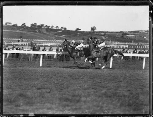 Phar Lap competing in a race, Melbourne, ca. 1930 [picture]