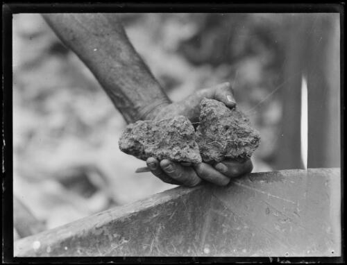 A hand holding dried out clumps of Sydney Cricket Ground soil during the preparation for the visiting English team, Sydney, 23 November 1932 [picture] / Baden H. Mullaney