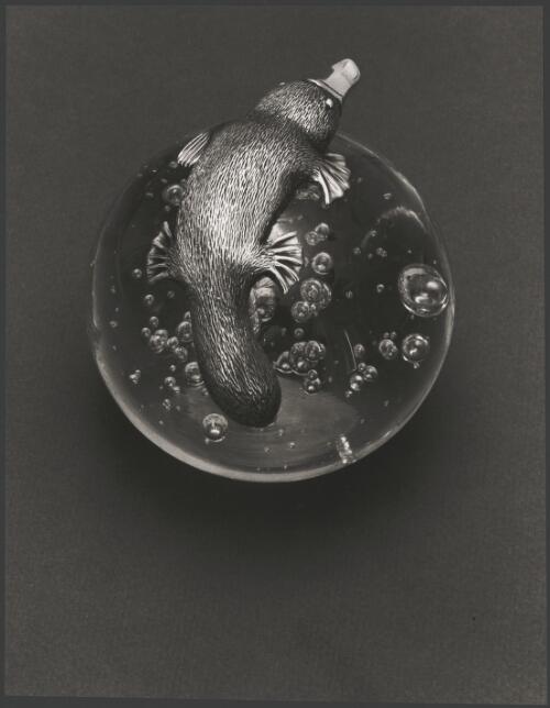 Sculpture of a silver platypus on glass ball made by Flynn for the Shell Company, 1981, 4 [picture] / Wolfgang Sievers
