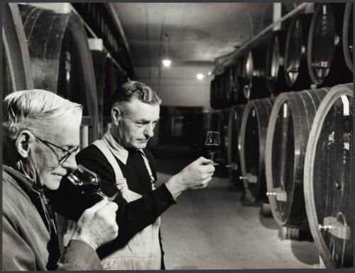 Wine tasting at Penfolds' wine cellars near Adelaide, South Australia, 1958 [picture] / Wolfgang Sievers