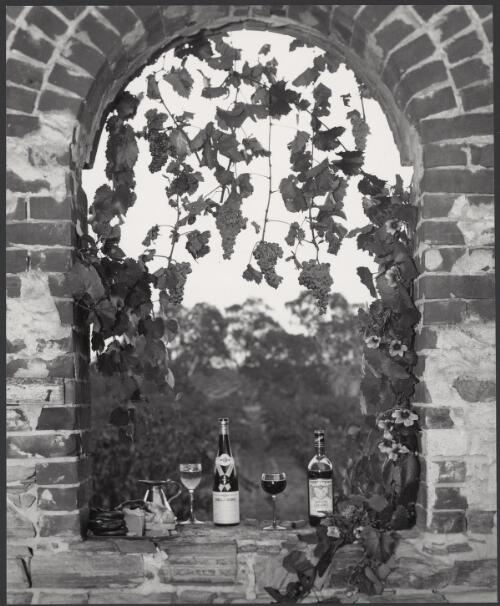 Orlando wine, Orlando vineyards, Rowland Flat, Barossa Valley, South Australia, 1966, 4 [picture] / Wolfgang Sievers