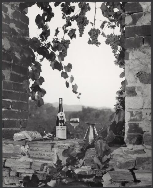 Orlando wine, Orlando vineyards, Rowland Flat, Barossa Valley, South Australia, 1966, 7 [picture] / Wolfgang Sievers