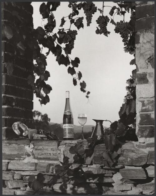 Orlando wine, Orlando vineyards, Rowland Flat, Barossa Valley, South Australia, 1966, 8 [picture] / Wolfgang Sievers