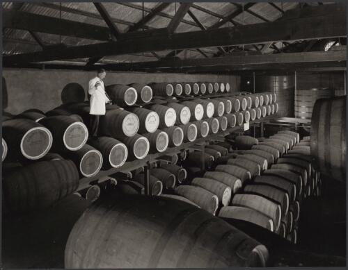 Mr. Harold Pfeiffer testing wine at Gramp's Orlando winery, Rowland Flat, Barossa Valley, South Australia, 1966, 3 [picture] / Wolfgang Sievers