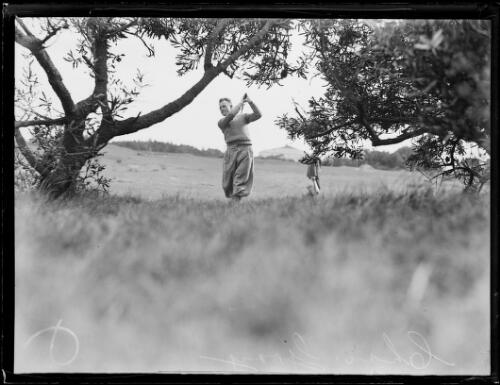 Charlie Gray playing golf between trees, New South Wales, 25 May 1933 [picture]