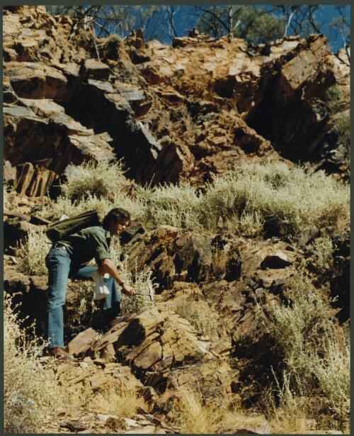 Shell geologist taking rock samples in the Mt Isa area, Queensland, 1979, 2 [picture] / Wolfgang Sievers