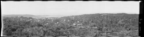 Panorama of Dee Why looking north, North Sydney, New South Wales [picture] / EB Studios