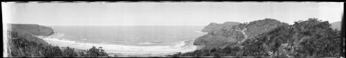 Panorama of Whale Beach, New South Wales, 1 [picture] / EB Studios