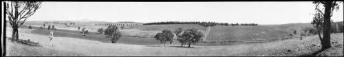 Panorama of Ammerdown, Orange region, New South Wales, 1 [picture] / EB Studios