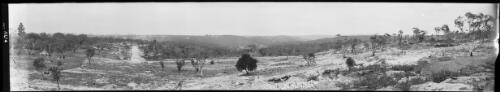 Panorama of Tuggerah region, New South Wales [picture] / EB Studios