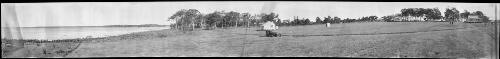 Panorama of cleared land and cottages on edge of Tuggerah Lakes?, New South Wales [picture] / EB Studios