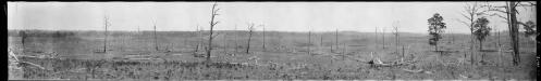 Panorama of Bald Hills Station near Warialda?, New South Wales, 5 [picture] / EB Studios