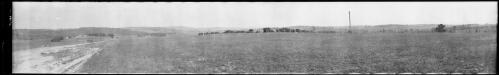 Panorama of Warialda? and Bald Hills Station, New South Wales [picture] / EB Studios