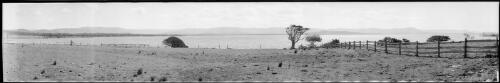 Panorama of Lake Illawarra, Mt Keira, Mt Kembla, Haywards Bay and Yallah at a distance, New South Wales [picture] / EB Studios
