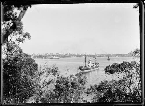 View from Admiralty House and Aston gardens of a ship anchored in the harbour, Sydney, 1931 [picture]