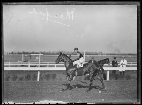 Jockey riding race horse Manfred, New South Wales, April 1936 [picture]