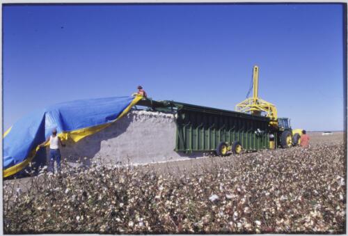 Cotton module being removed from its frame and covered, Bourke, New South Wales, approximately 1990 / Robin Smith