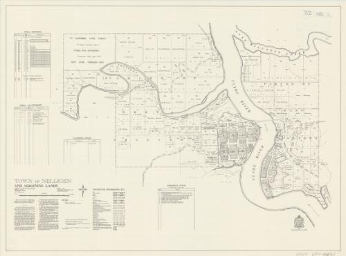 Town of Nelligen and adjoining lands [cartographic material] : Parishes of East Nelligen & West Nelligen, County St. Vincent, Land District - Moruya, Shire - Eurobodalla / printed & published by Dept. of Lands Sydney