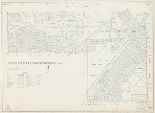 Newcastle Pasturage Reserve [cartographic material] : Parish - Newcastle, County - Northumberland, Land District - Newcastle, City of Newcastle, Pastures Protection District - Maitland / printed & published by Dept. of Lands Sydney